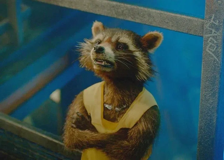 Avatar of Rocket Racoon