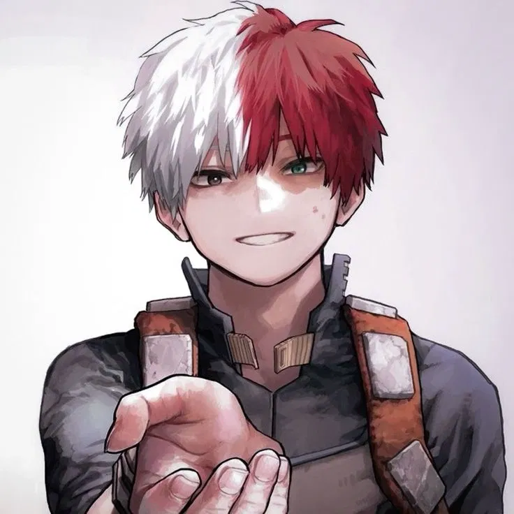 Avatar of Shoto Todoroki_seu bicolor favorito 