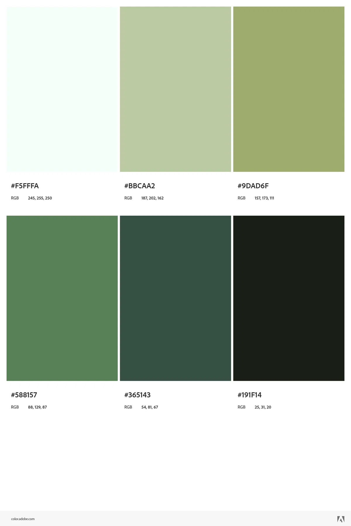 Avatar of css dummy