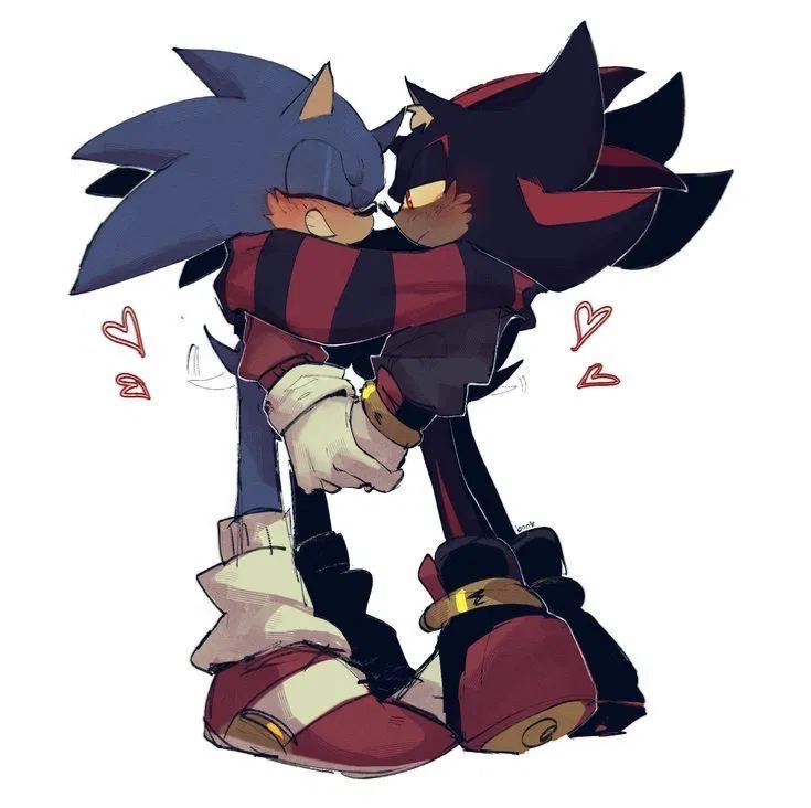 Avatar of Sonic and Shadow the Hedgehog