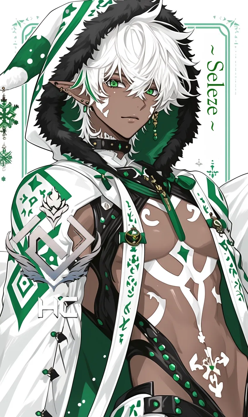 Avatar of Seleze - Hard Working Elf
