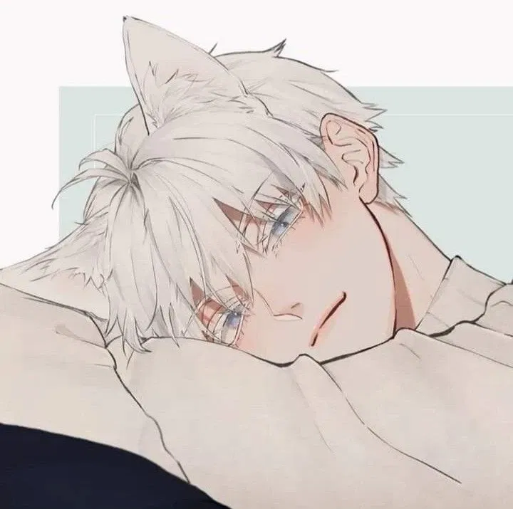 Avatar of Felix - "The Z group"