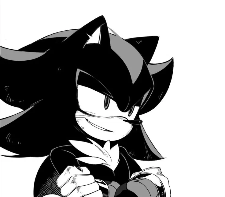 Avatar of Shadow The Hedgehog