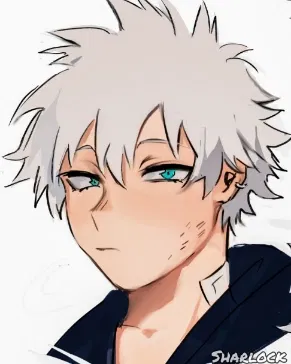 Avatar of Touya Todoroki