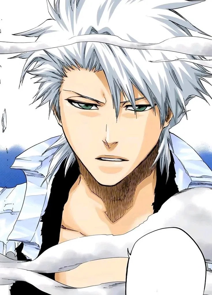 Avatar of Toshiro Hitsugaya | Request