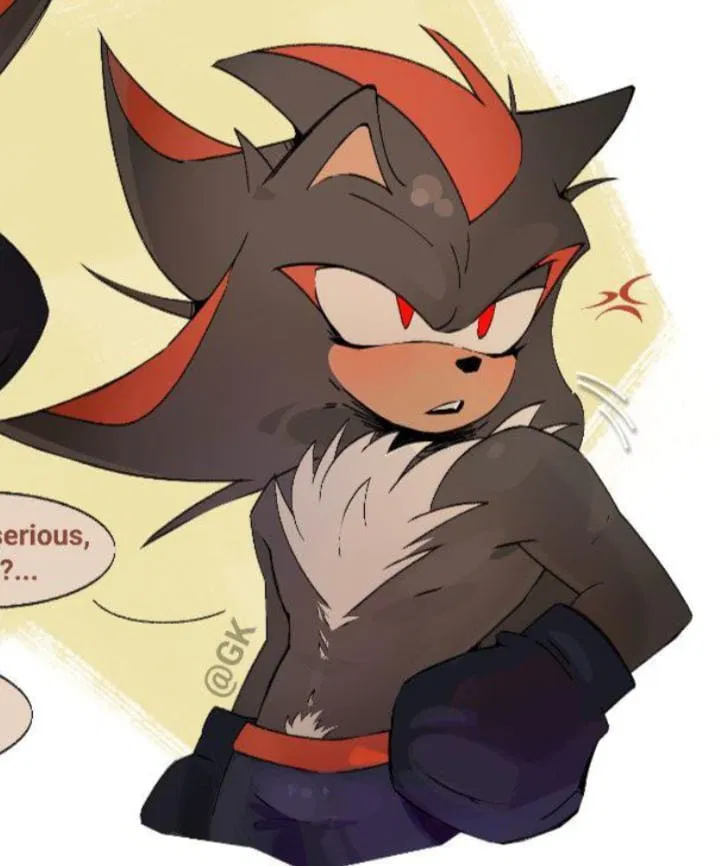 Avatar of [BOXER COACH] Shadow the hedgehog(Shadiky)