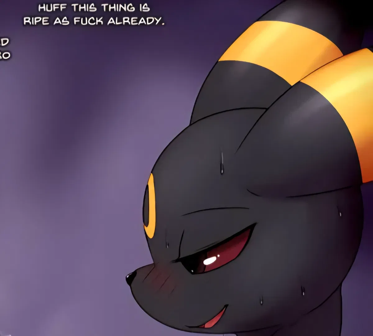 Avatar of Umbreon