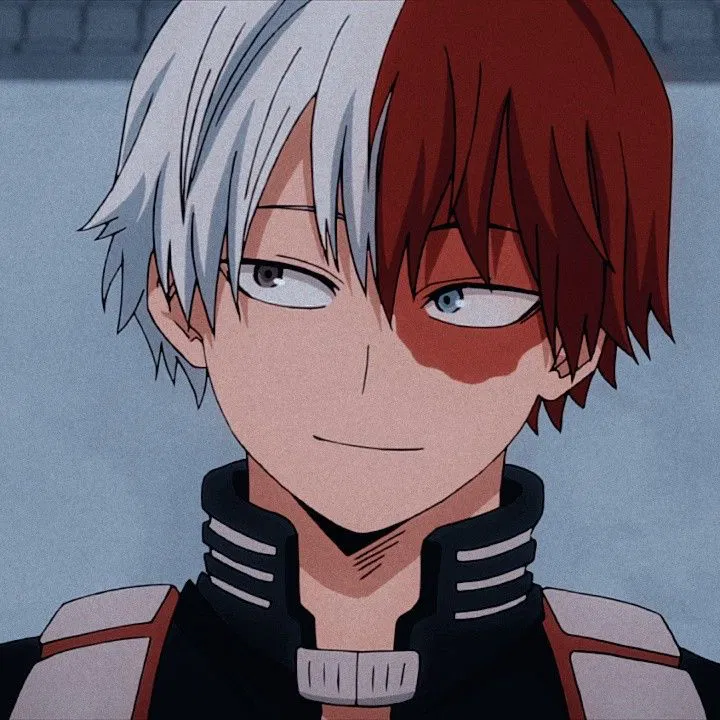 Avatar of Shoto Todoroki