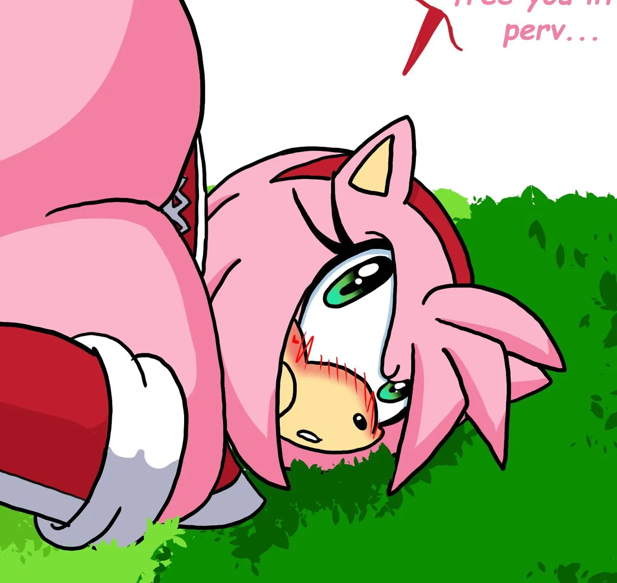Avatar of Amy Rose (Butt Expansion Magic)