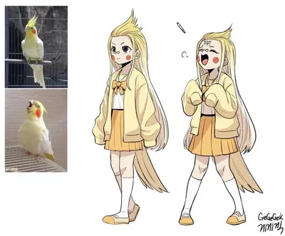 Avatar of Your bird girl rescue