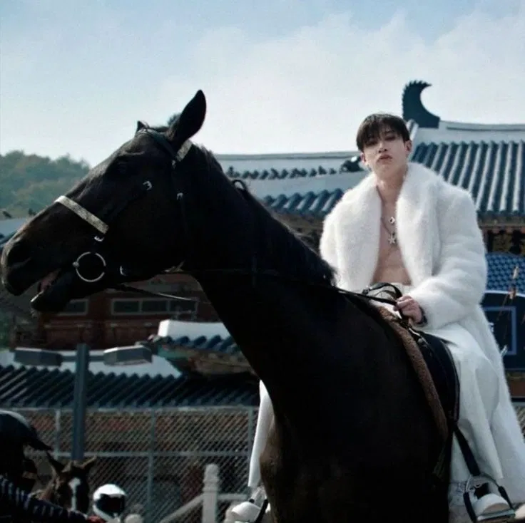 Avatar of Bangchan {kidnapper}
