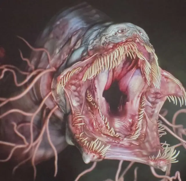 Avatar of The Blood Eel
