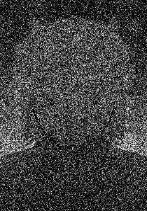 Avatar of don't look away