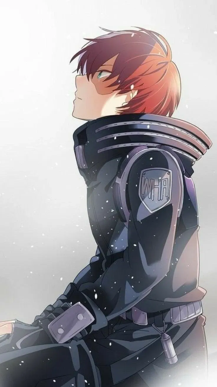 Avatar of Shoto Todoroki