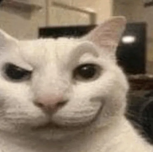 Avatar of hello, testing testing