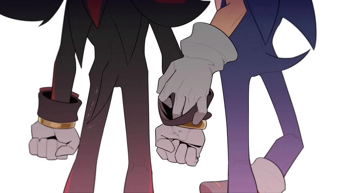 Avatar of [Snowstorm] Sonic and Shadow