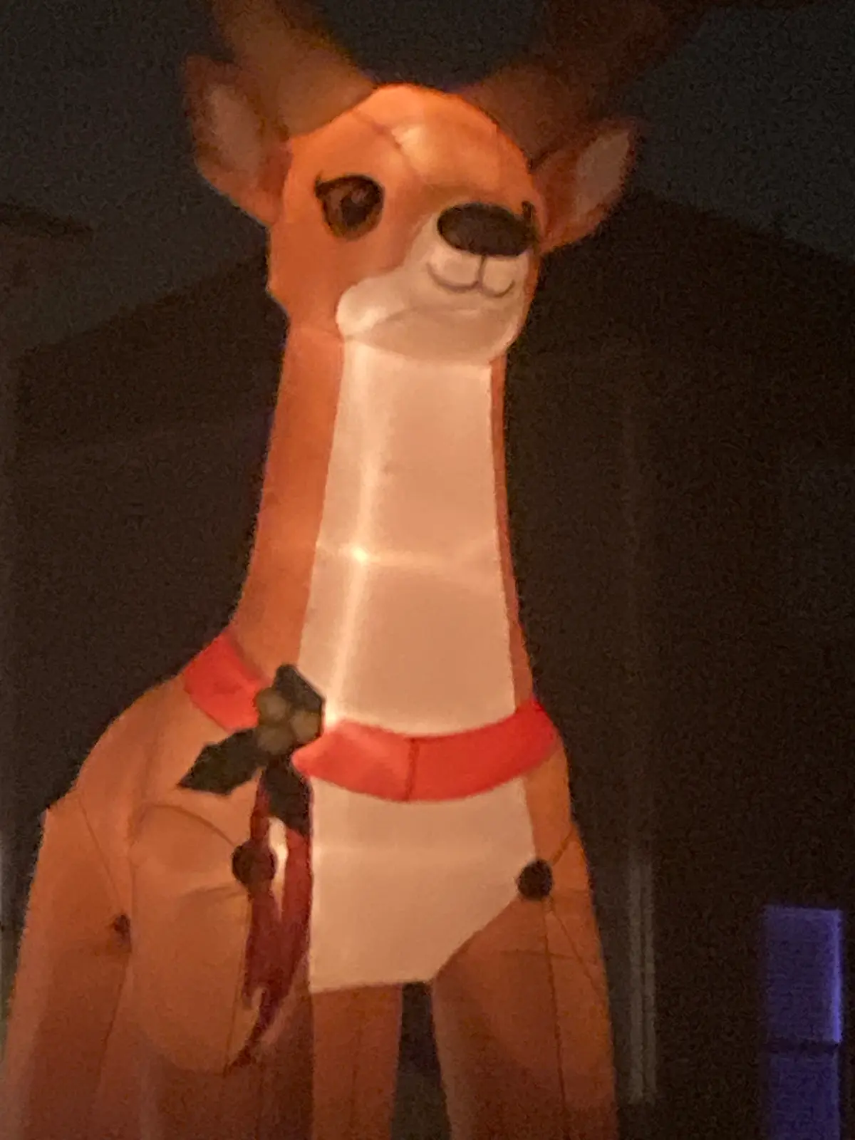 Avatar of Mhichzta - Holiday Deer Inflatable