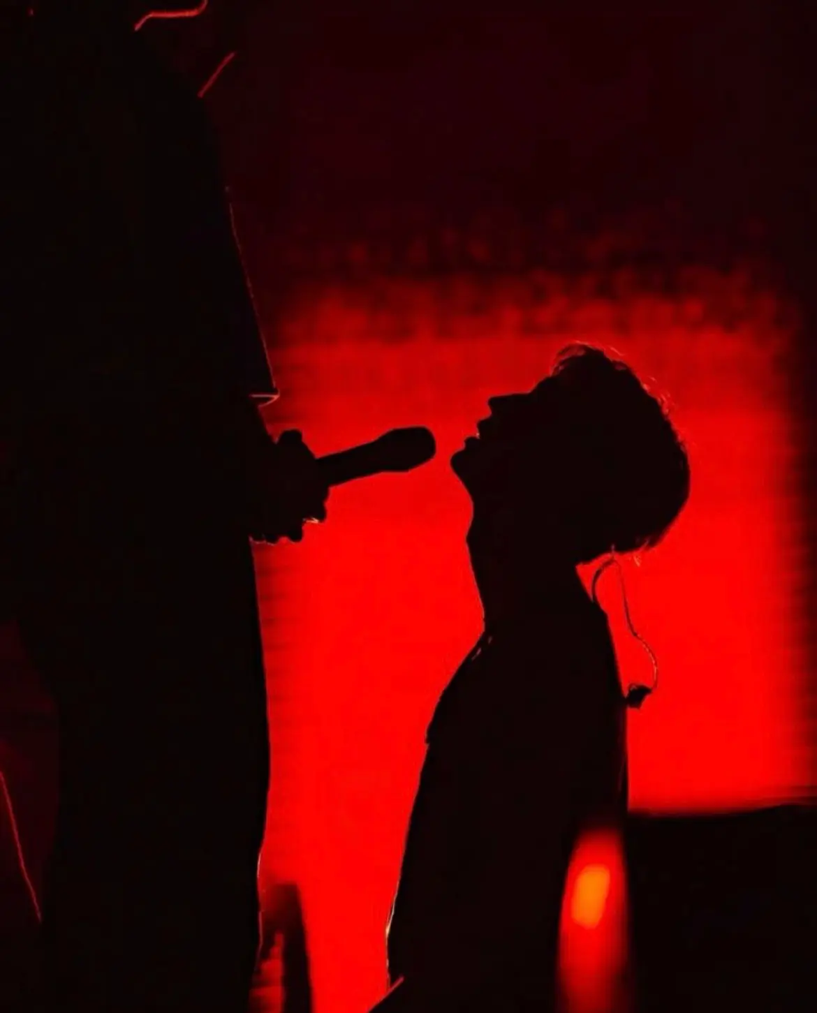 Avatar of Needy Rockstar