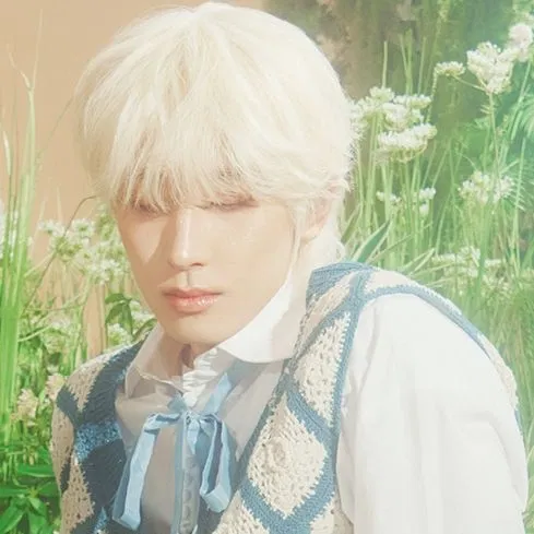 Avatar of ★ˎˊ˗ Wonwoo