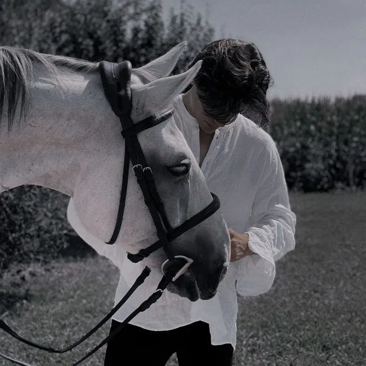 Avatar of Archie Barr | HORSEBALL UK