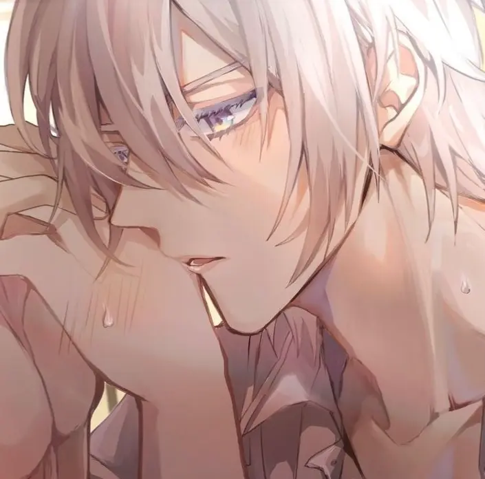 Avatar of silver vanrouge ✧