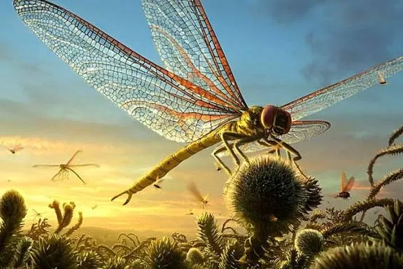 Avatar of Insect Island