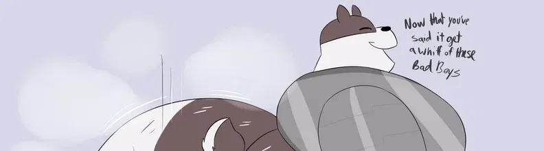 Avatar of Badgerclops the fat, stimki slob
