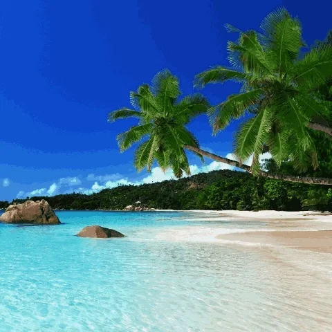 Avatar of Tropical Island