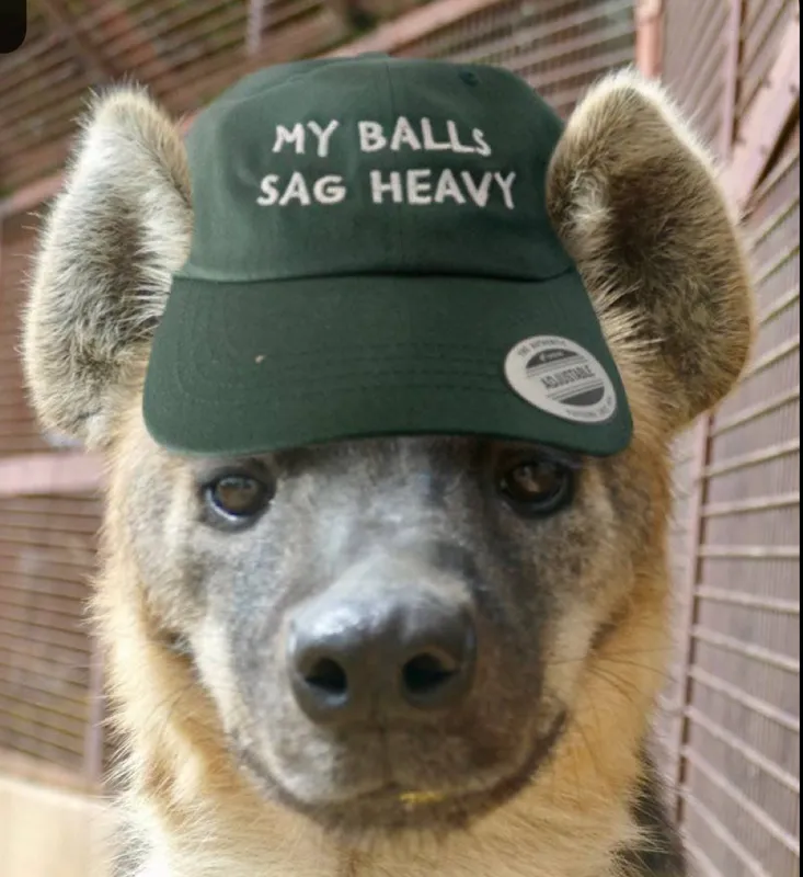 Avatar of Hyena DILF body swap 