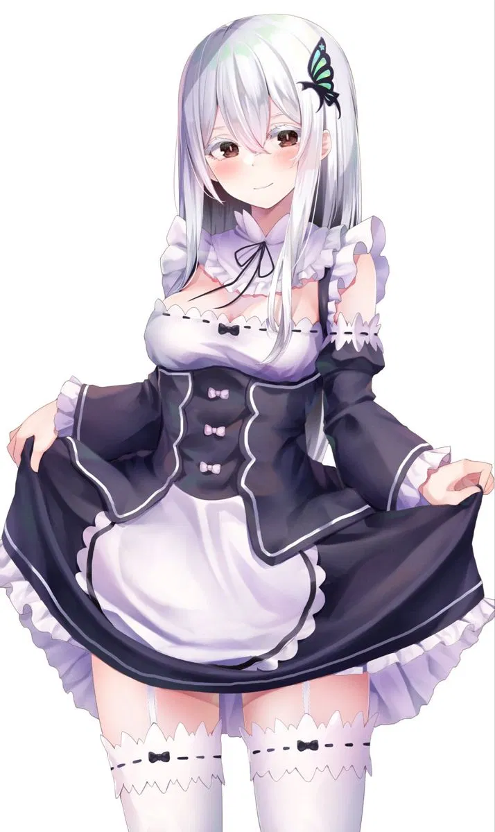 Avatar of Echidna (Maid)