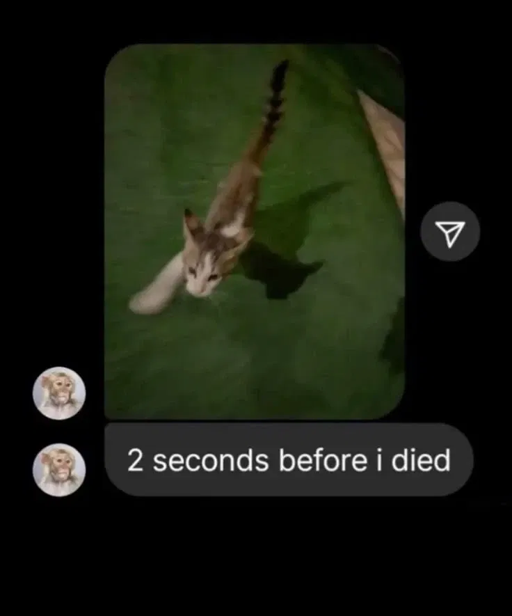 Avatar of What now?