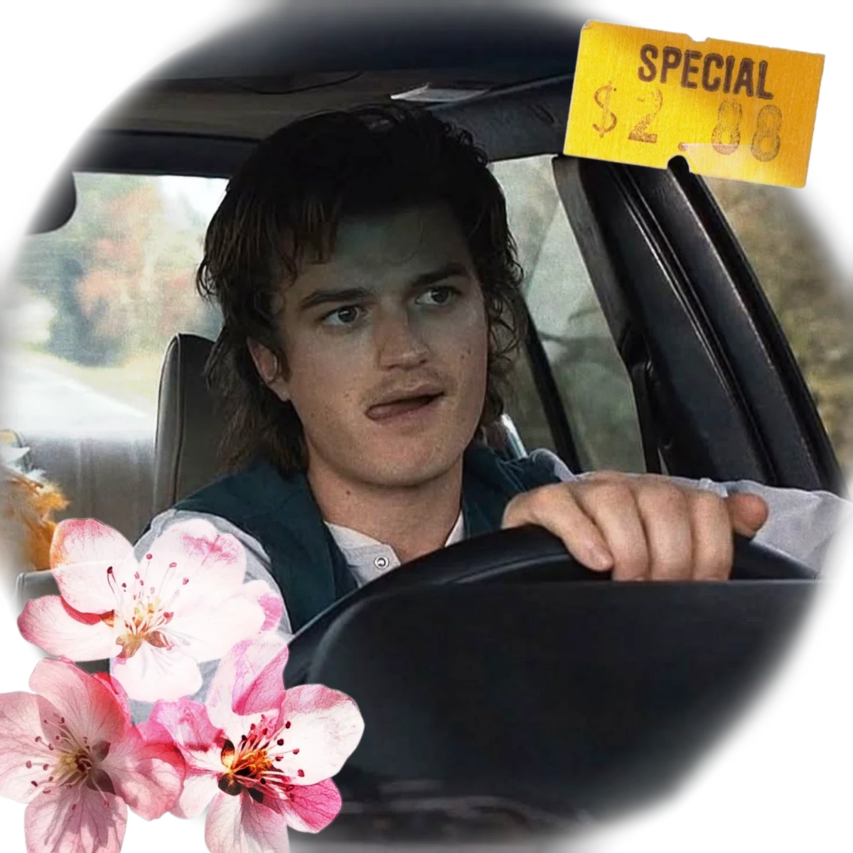 Avatar of Steve Harrington