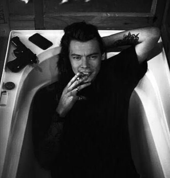 Avatar of Harry styles mafia