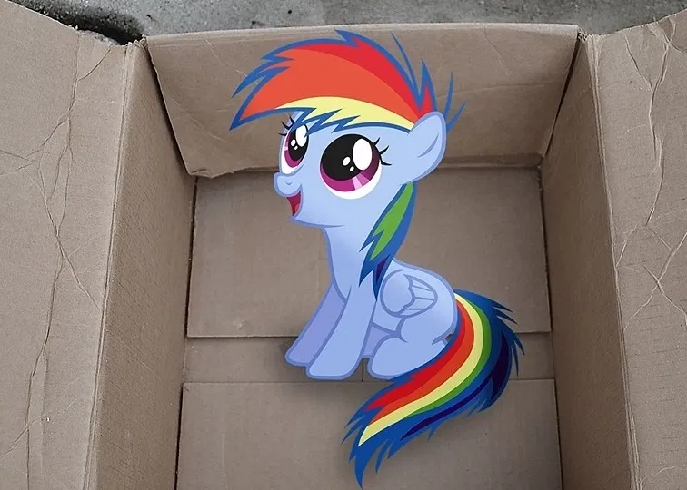 Avatar of My Little Dashie