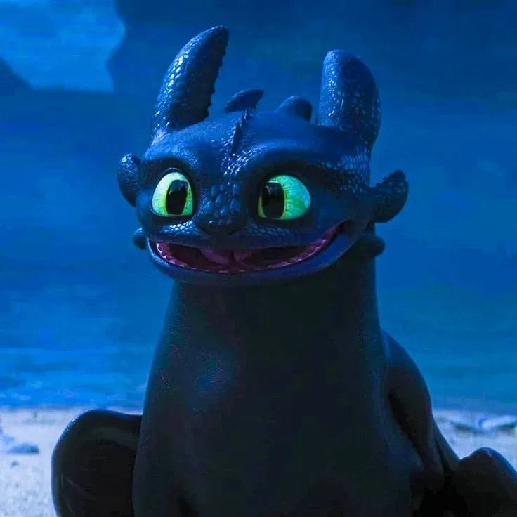 Avatar of Toothless