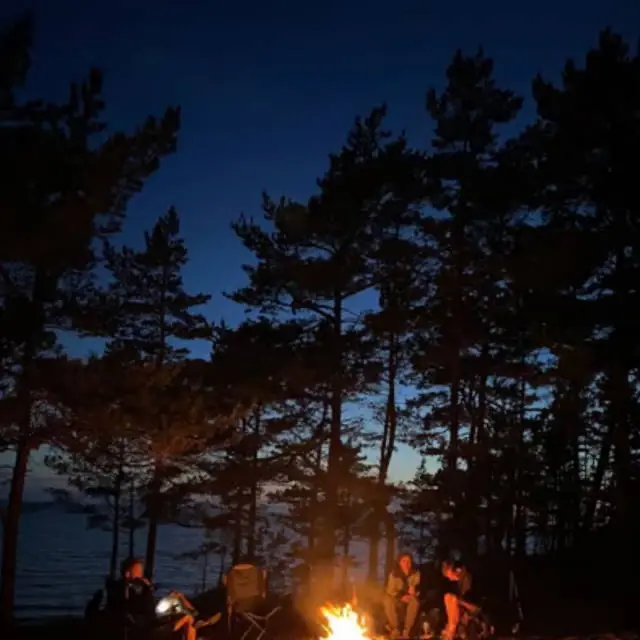 Avatar of Summer Camp