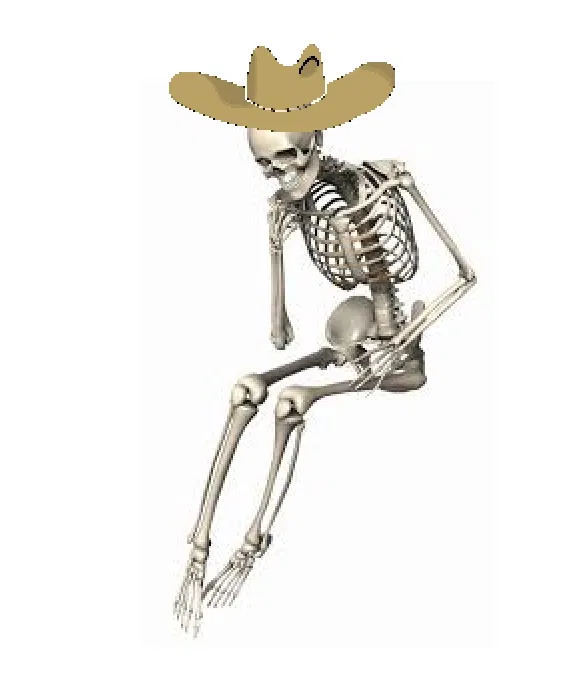Avatar of Red's Dead Redemption