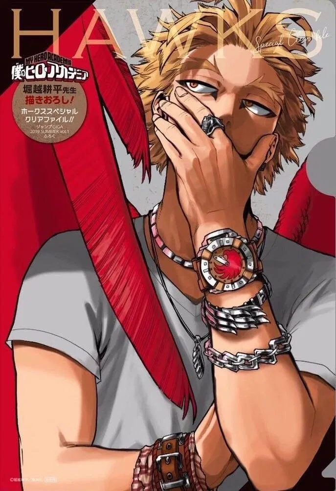 Avatar of Hawks - Keigo Takami
