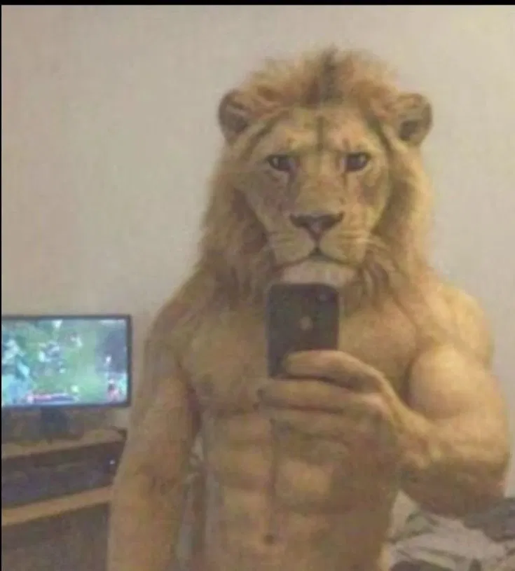 Avatar of gooner lion😊