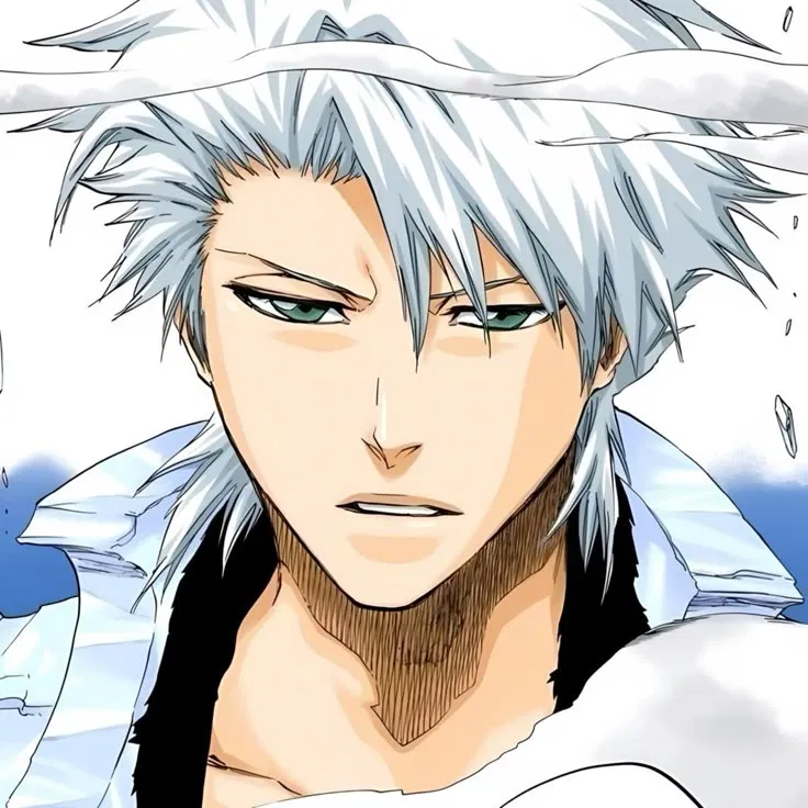 Avatar of Toshiro Hitsugaya 
