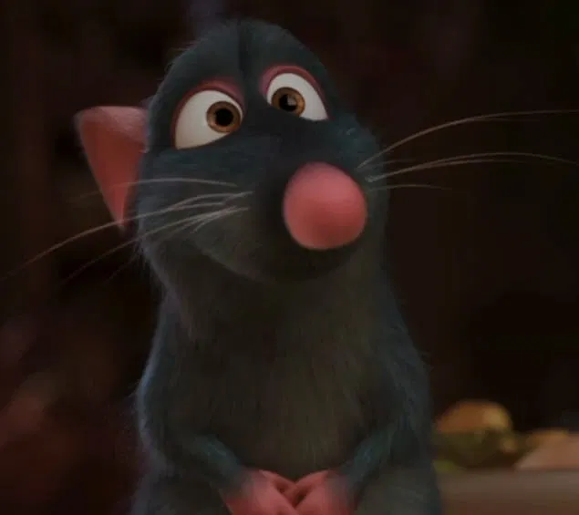 Avatar of Remy