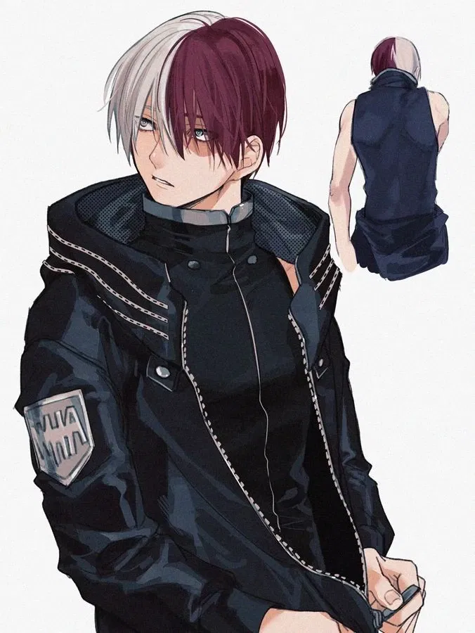 Avatar of Shoto Todoroki