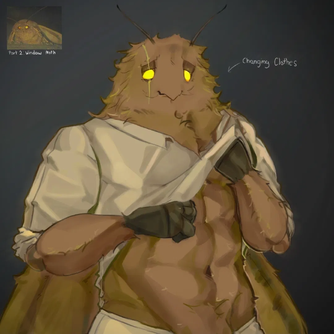 Avatar of Window Moth