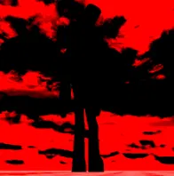 Avatar of †HÊ4R TH3 WHÏẞTLË?†