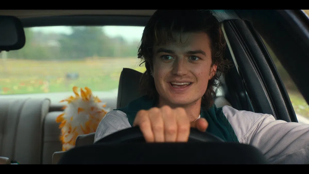 Avatar of Steve Harrington- The King of the Video Store