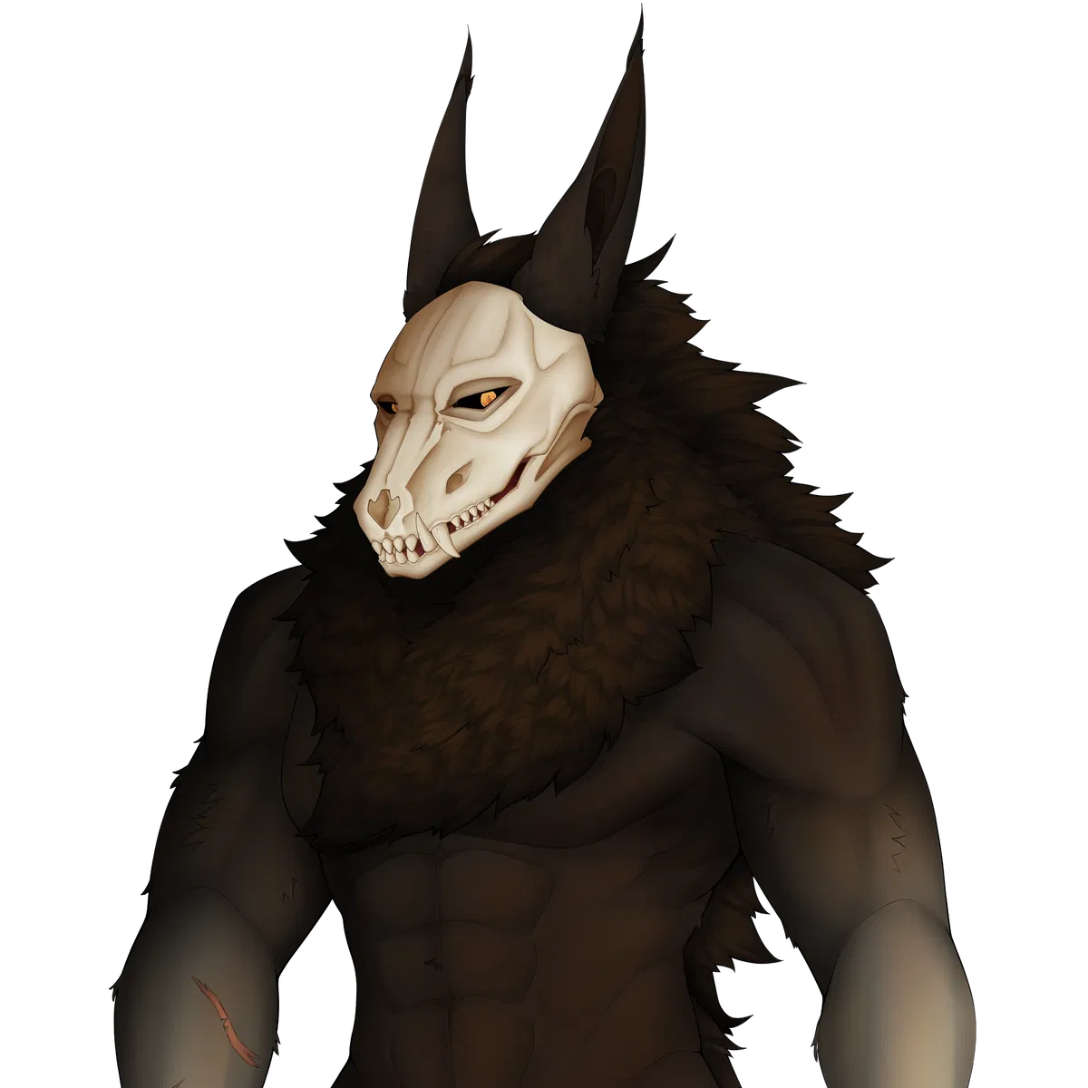 Avatar of Lupus