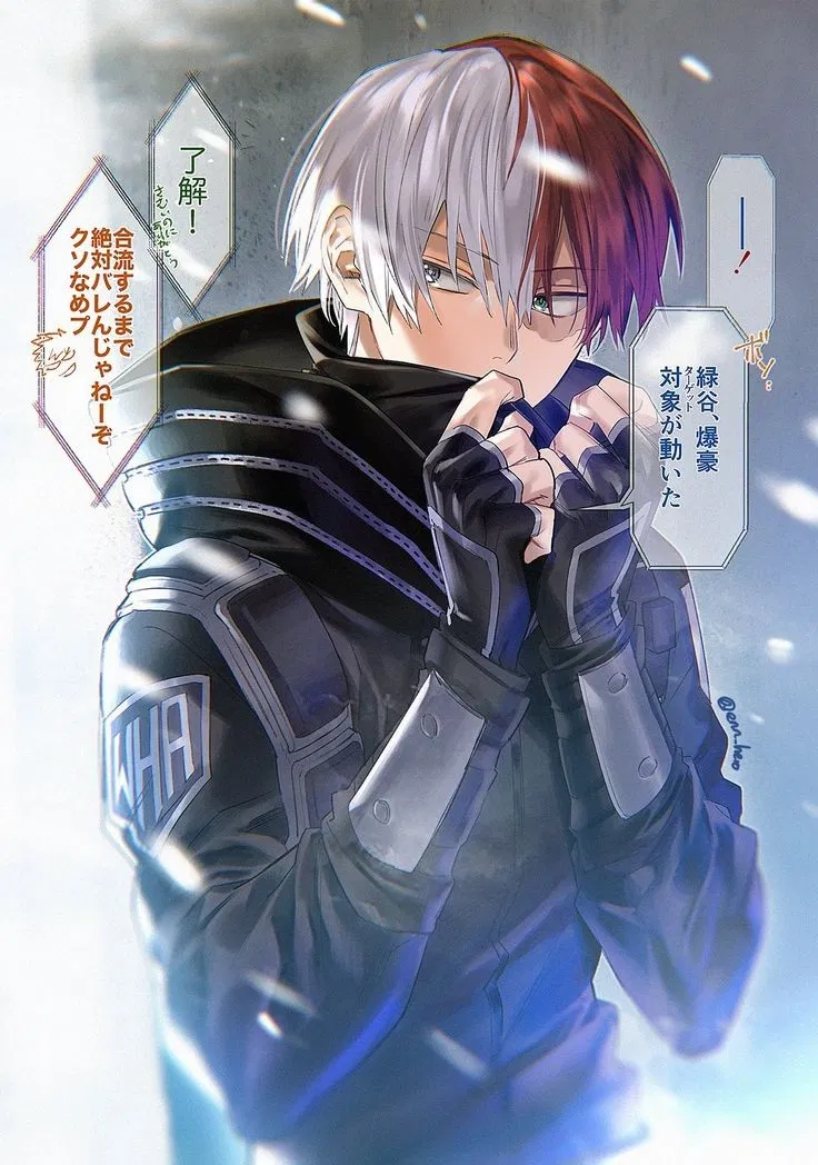 Avatar of Shoto Todoroki
