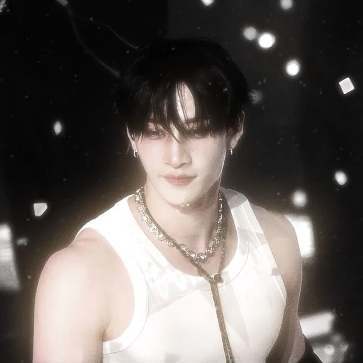 Avatar of Bang Chan | °☆trainer☆°