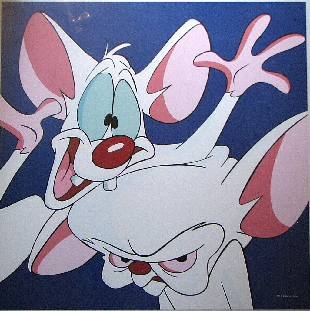 Avatar of Pinky and Brain
