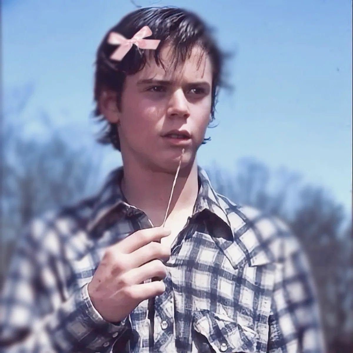 Avatar of Ponyboy curtis